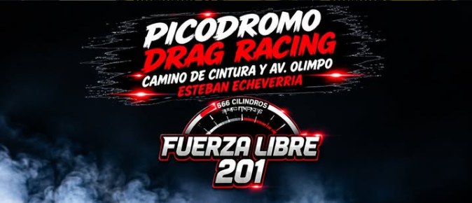 FUERZA LIBRE